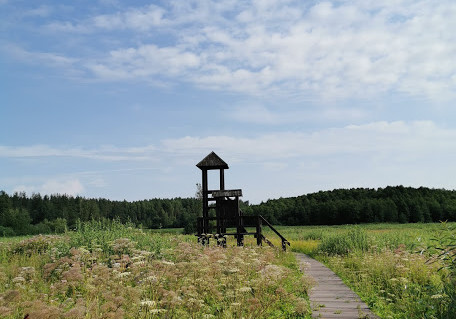 15_Paukščių stebėjimo bokštelis šiaurinės Ančios ežero apyežerės pėsčiųjų take.jpg